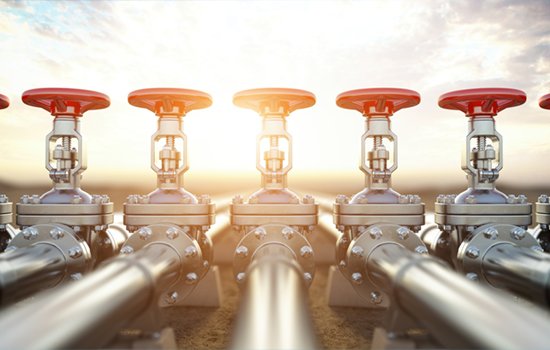 We started  make electric vehicle